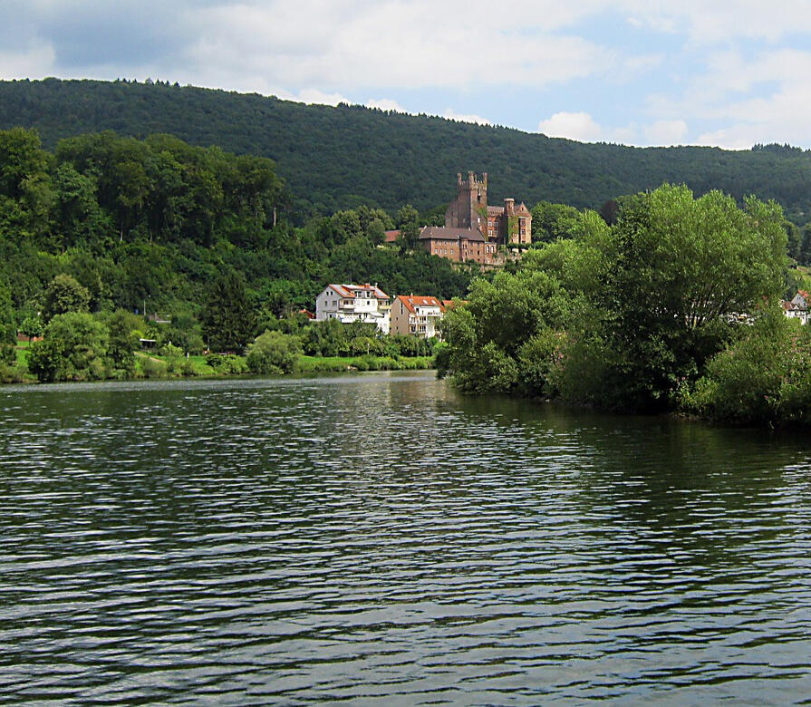 Along the Neckar